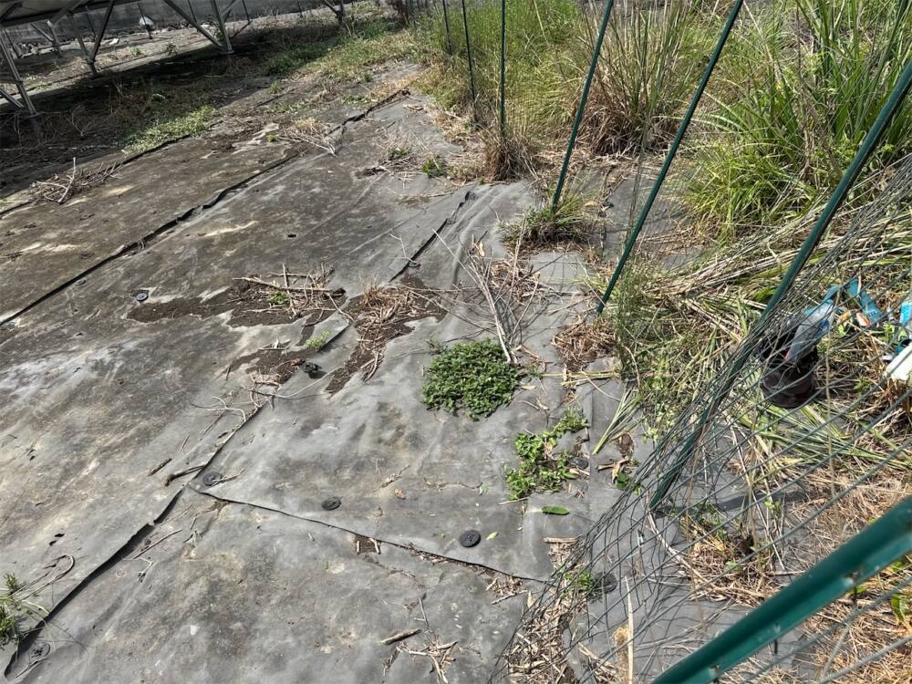 実績・評判口コミ画像03-兵庫県　47.2 kW　低圧