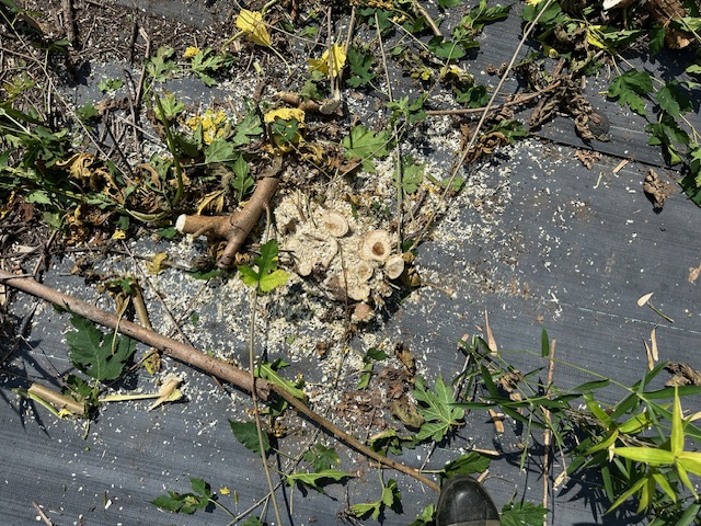 実績・評判口コミ画像03-三重県　49.5kW　低圧