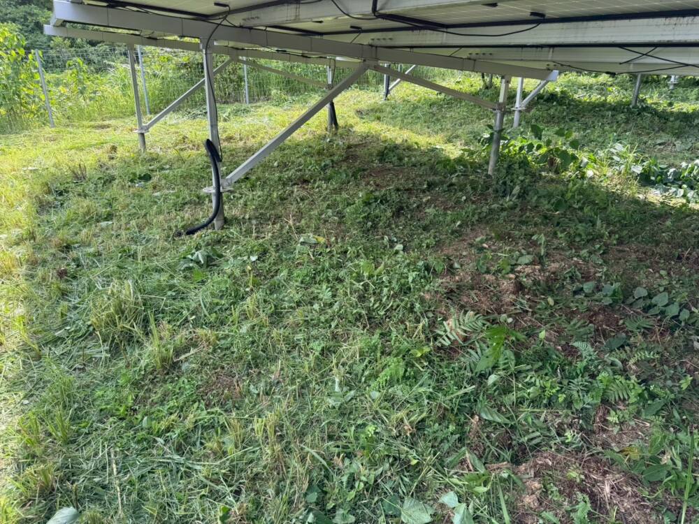 実績・評判口コミ画像03-鹿児島県　49.5kW　低圧