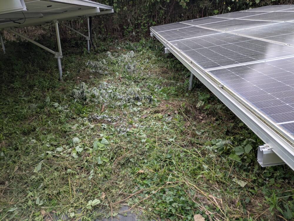 実績・評判口コミ画像03-佐賀県　49.5kW　低圧