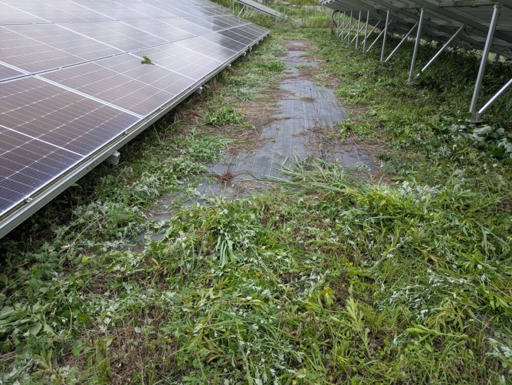 実績・評判口コミ画像03-佐賀県　49.5kW　低圧