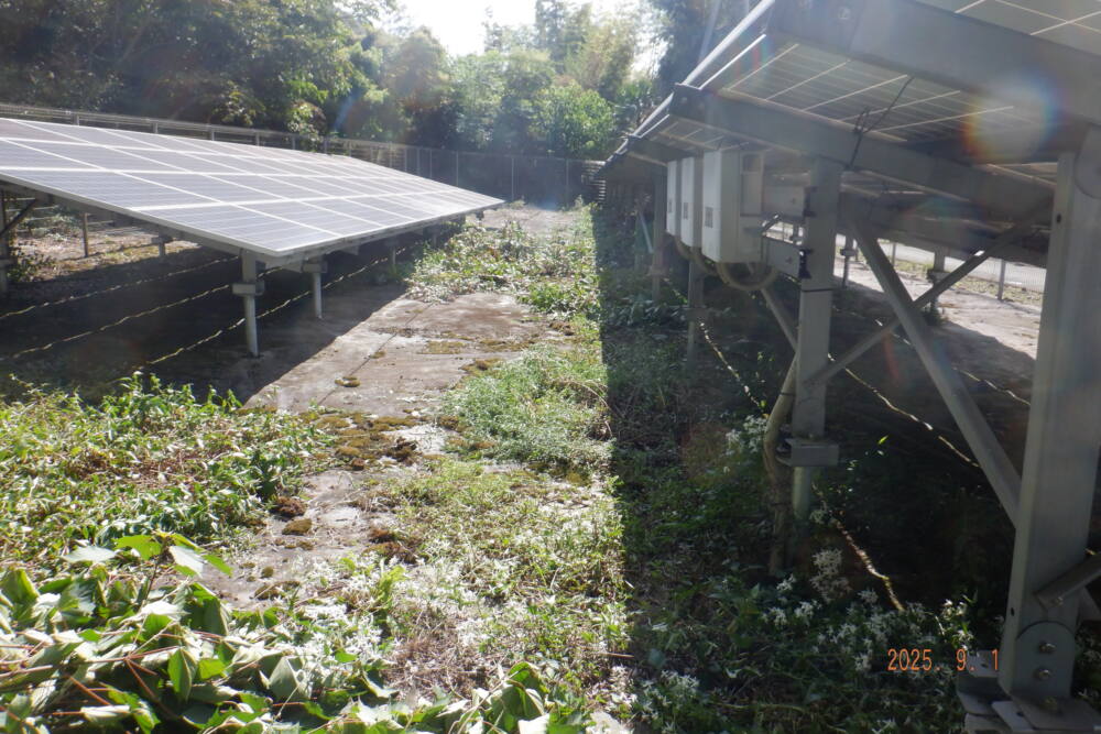 実績・評判口コミ画像03-兵庫県　49.5kW　低圧