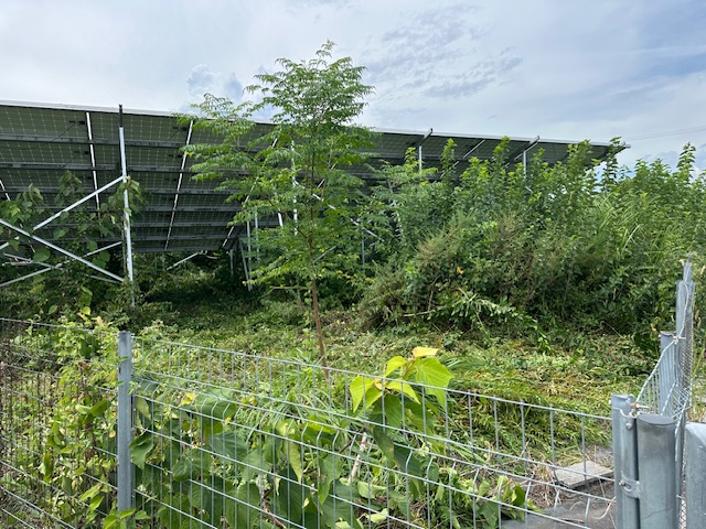 実績・評判口コミ画像03-三重県　47.2kW　低圧