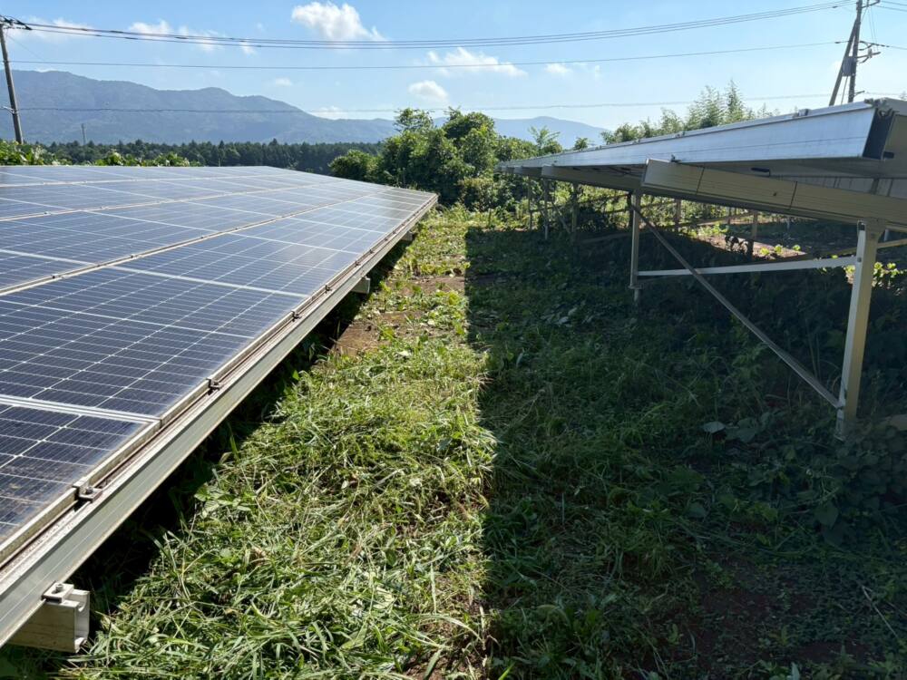実績・評判口コミ画像03-茨城県　49.5kW　低圧