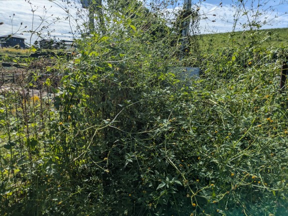 佐賀県　49.5kW　低圧