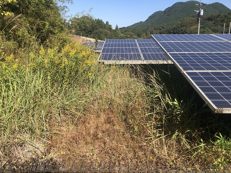 鹿児島県　49.5kW　低圧