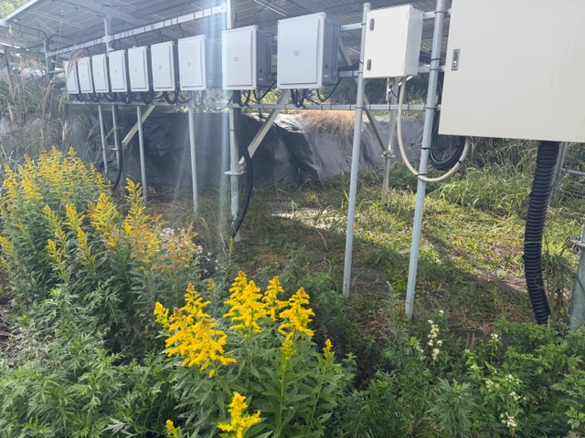 三重県　49.5kW　低圧