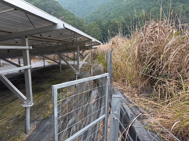 三重県　49.5kW　低圧
