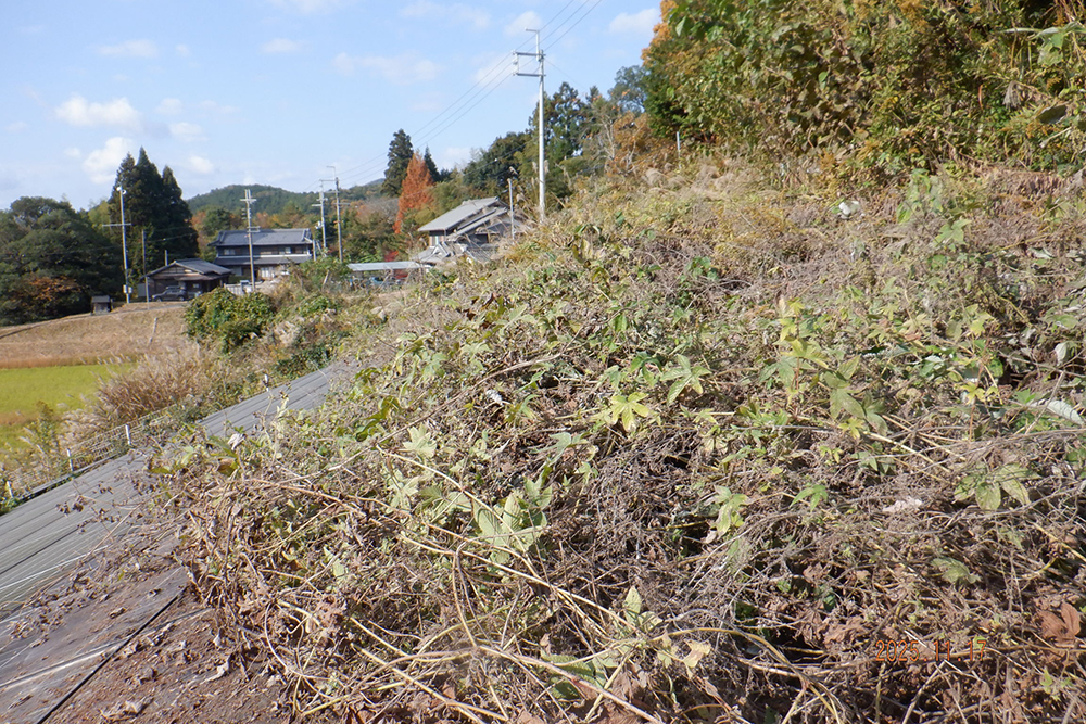 奈良県　49.5kW　低圧