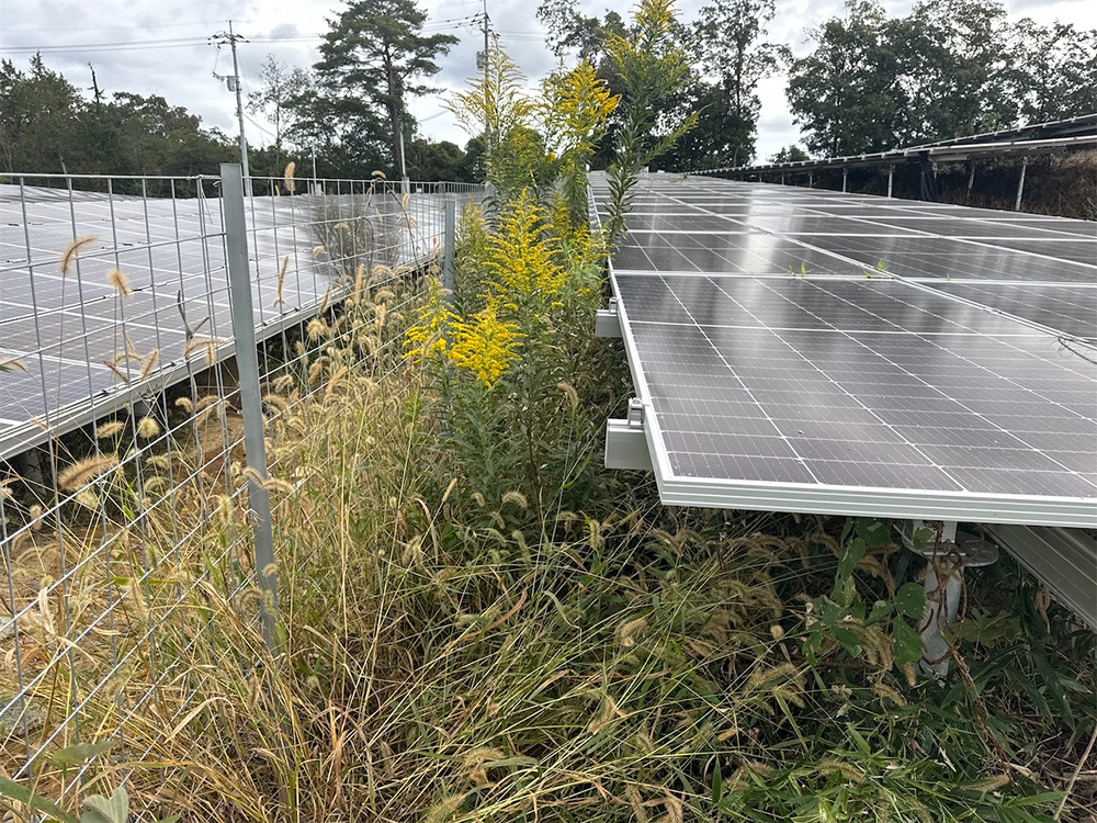岡山県 850kW 高圧 ① 22 - 岡山県 850kW 高圧