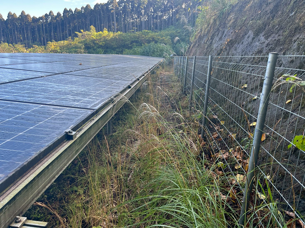 鹿児島県 49.5kW 低圧 ① 25 - 鹿児島県 49.5kW 低圧