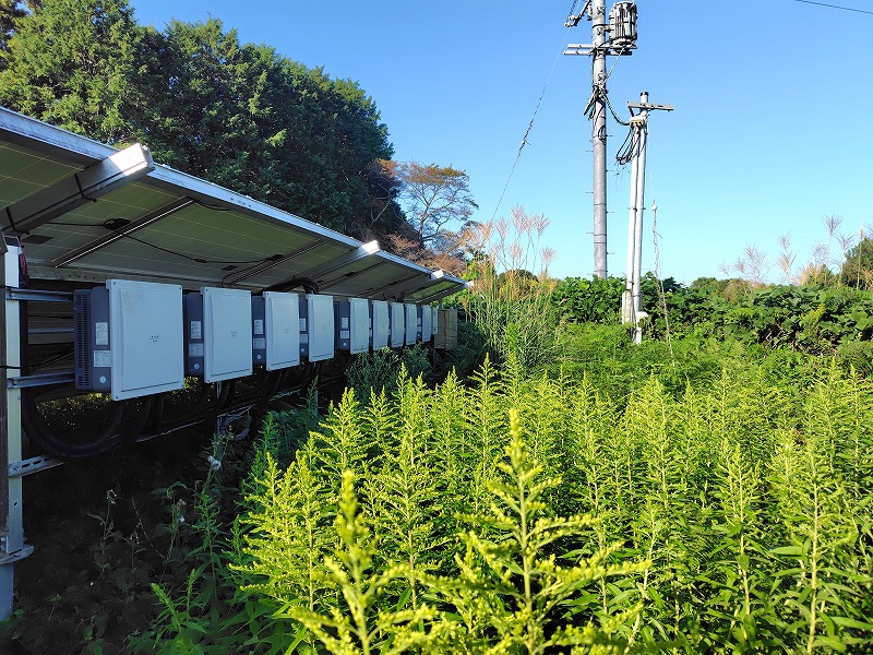 熊本県　49.5kW　低圧