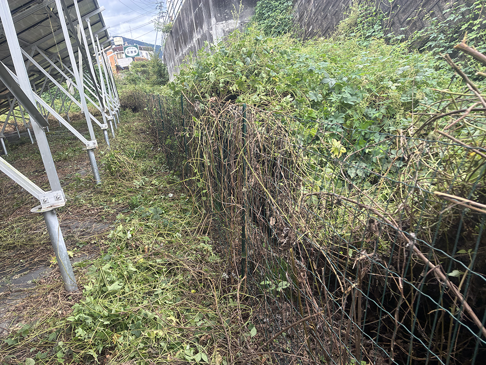 実績・評判口コミ画像01-徳島県　49.5kW　低圧