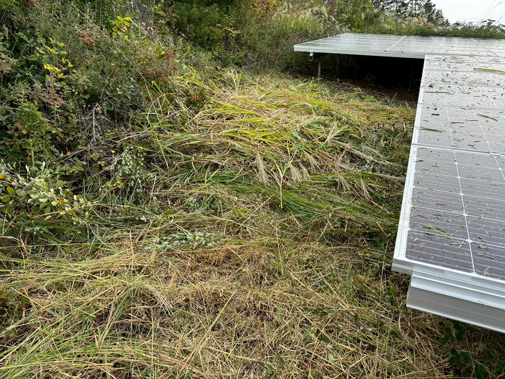 実績・評判口コミ画像01-長野県　1,000kW　高圧