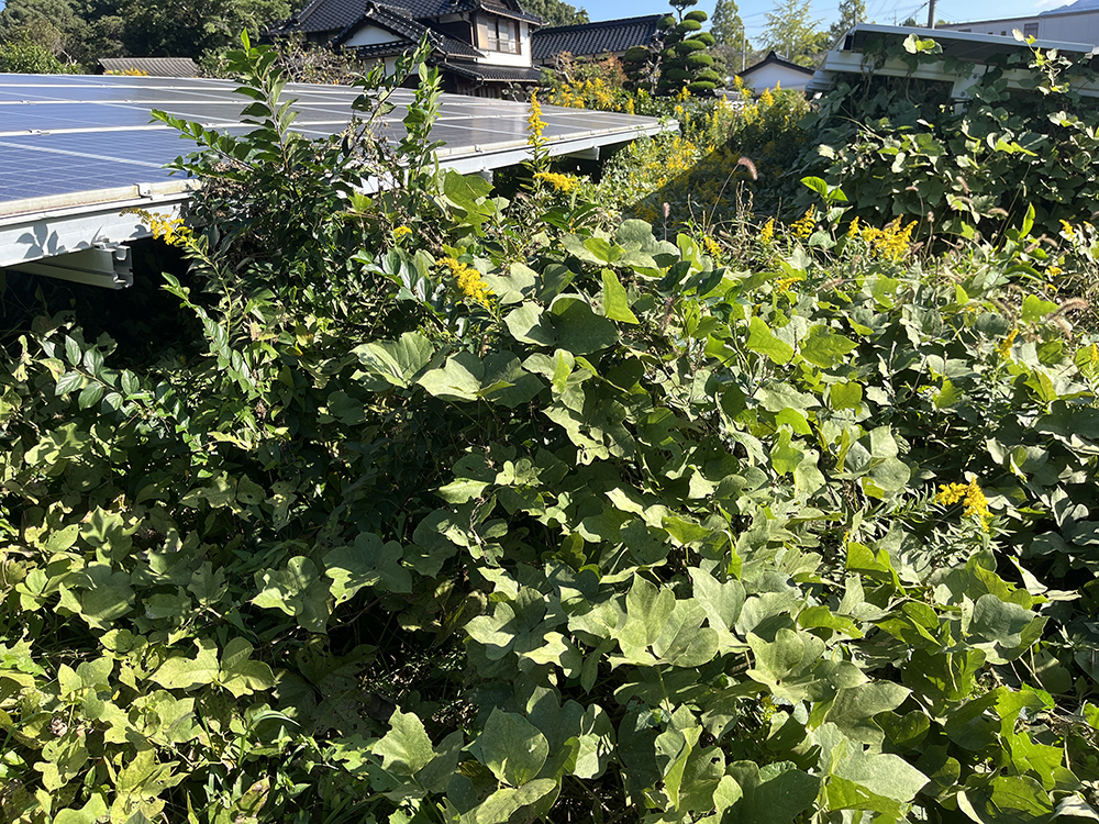 実績・評判口コミ画像01-山口県　49.5kW　低圧