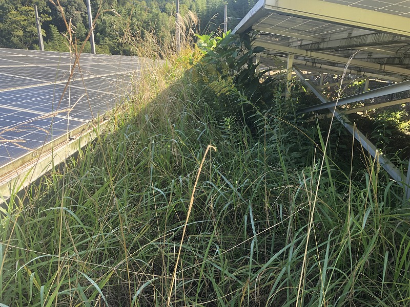 実績・評判口コミ画像01-鹿児島県　49.5kW　低圧