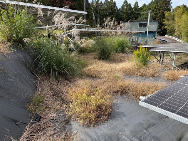 実績・評判口コミ画像01-三重県　49.5kW　低圧