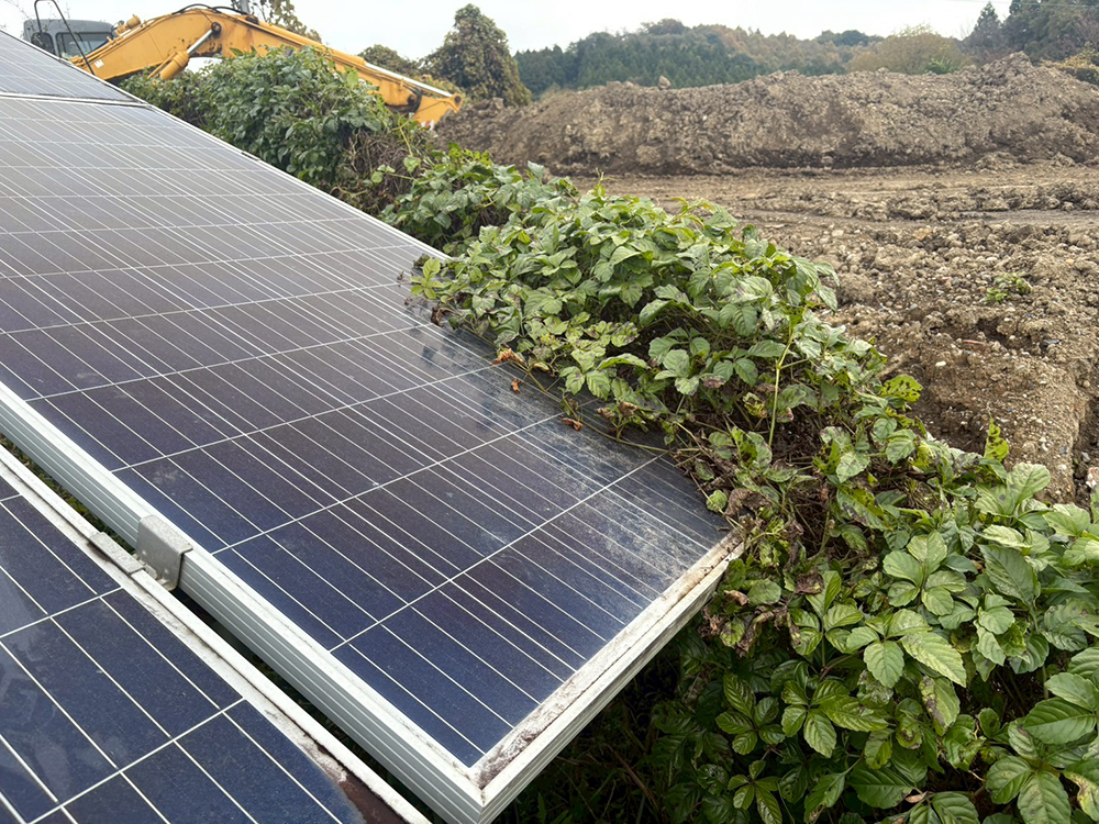 実績・評判口コミ画像01-栃木県　49.5kW　低圧