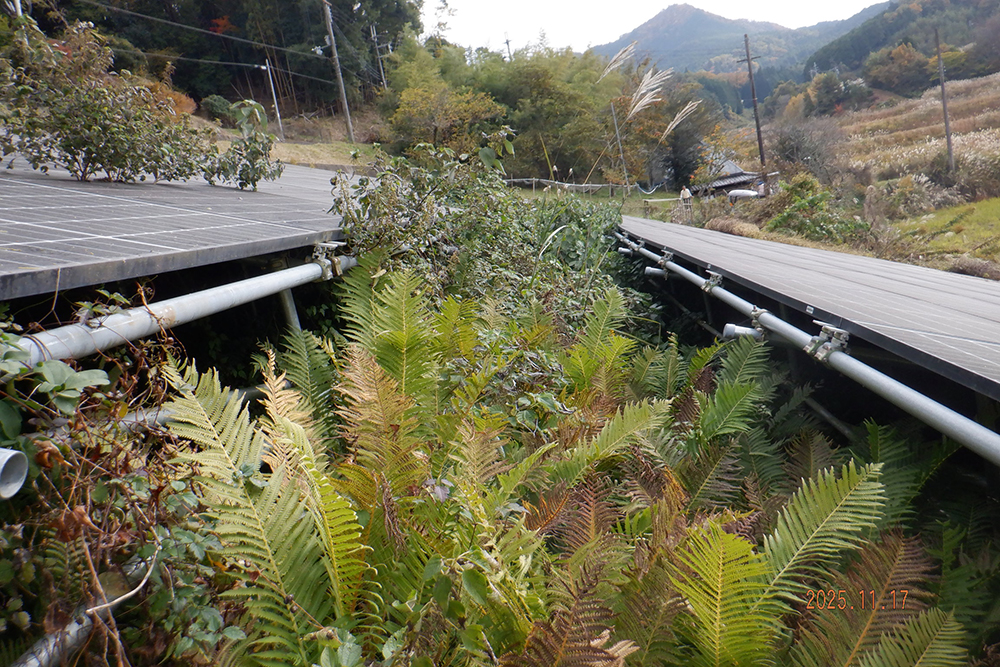 実績・評判口コミ画像01-奈良県　49.5kW　低圧