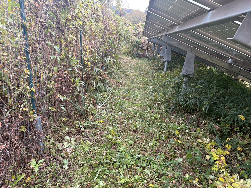 実績・評判口コミ画像02-栃木県　49.5kW　低圧