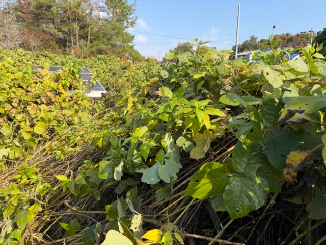 実績・評判口コミ画像02-三重県　49.5kW　低圧