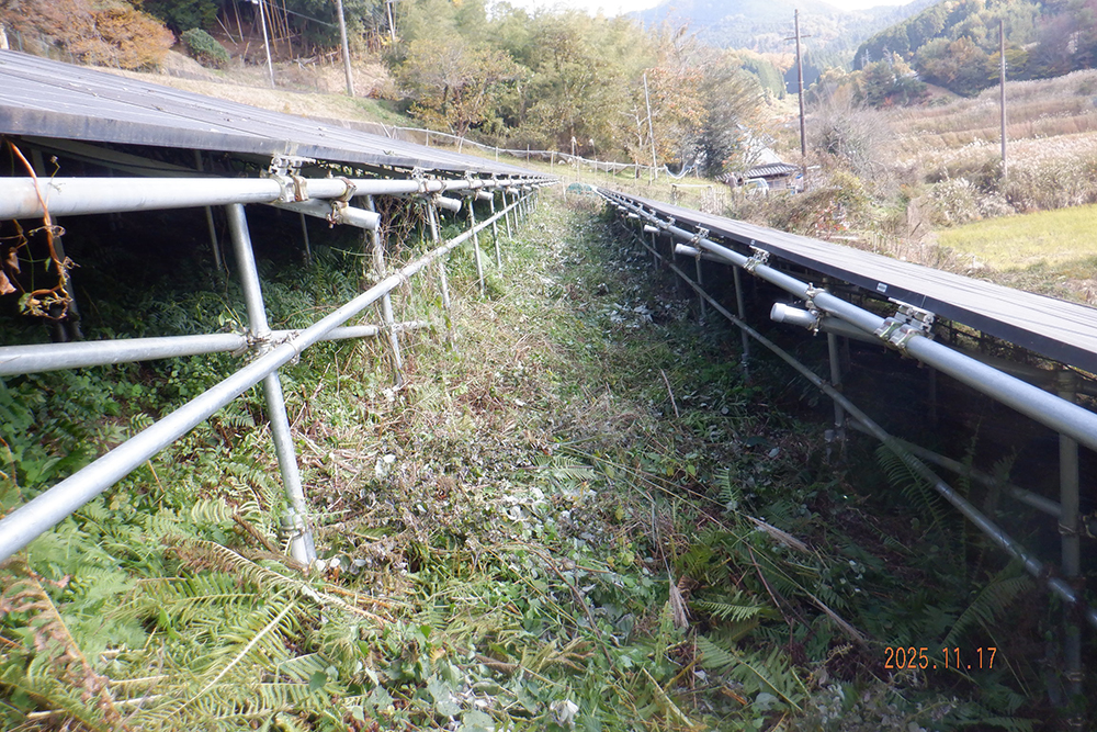 実績・評判口コミ画像03-奈良県　49.5kW　低圧