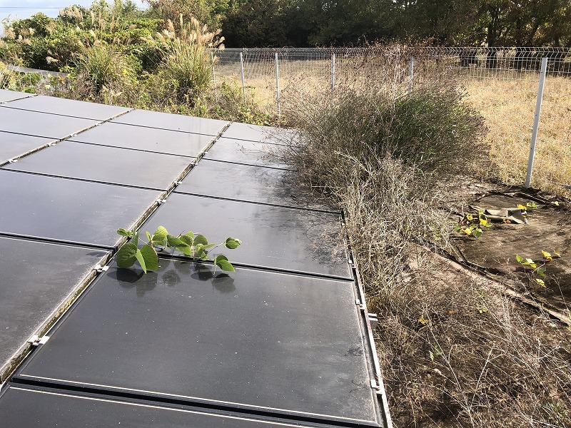 実績・評判口コミ画像03-鹿児島県　49.2kW　低圧