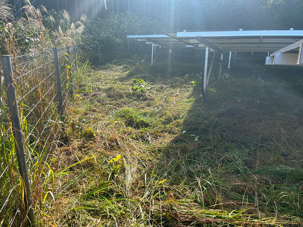 実績・評判口コミ画像03-鹿児島県　49.5kW　低圧