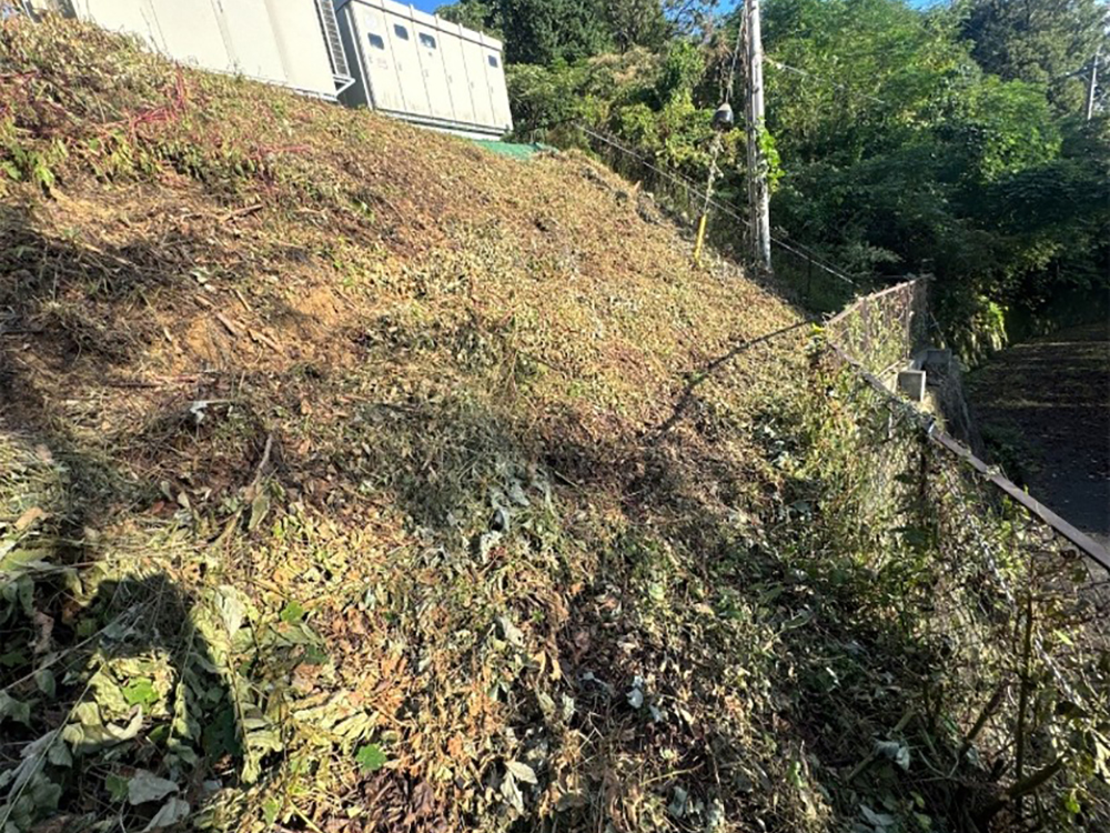 実績・評判口コミ画像03-兵庫県　798kW　高圧