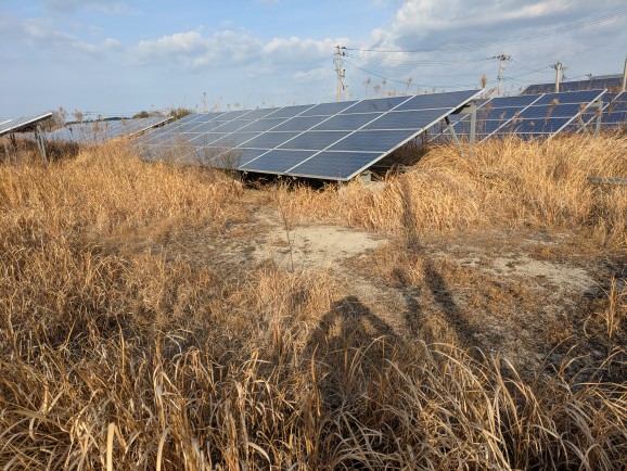 大分県　49.5kW　低圧