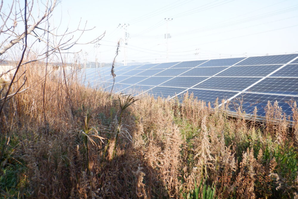 兵庫県　49.5Kw　低圧