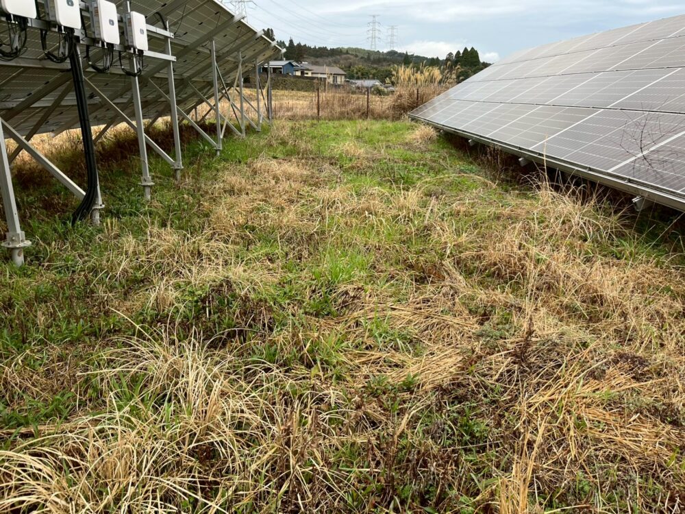 鹿児島県　49.5kW　低圧