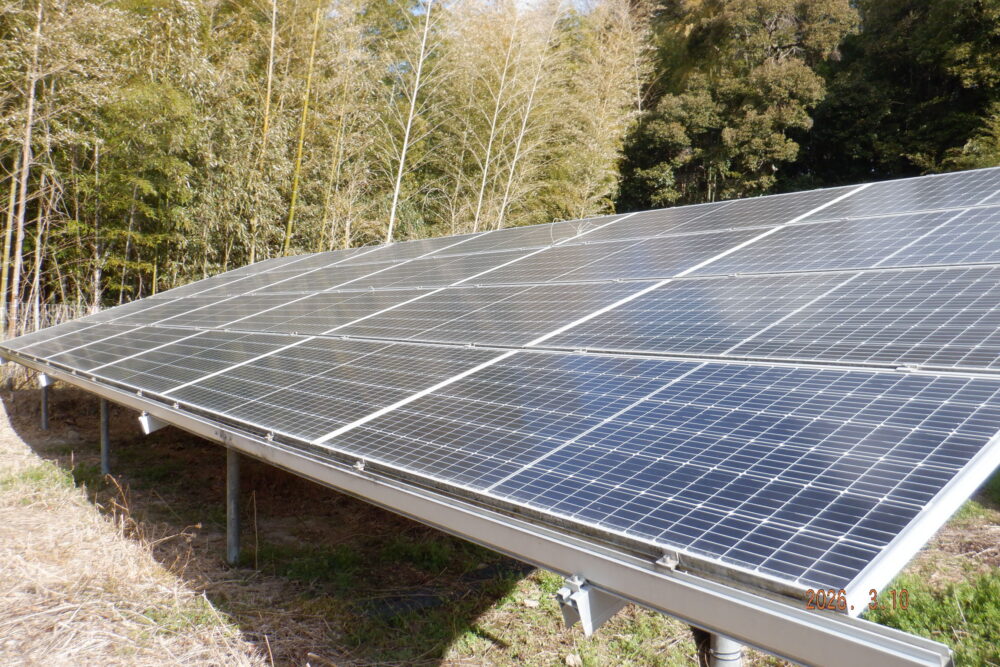 兵庫県　49.5kW　低圧