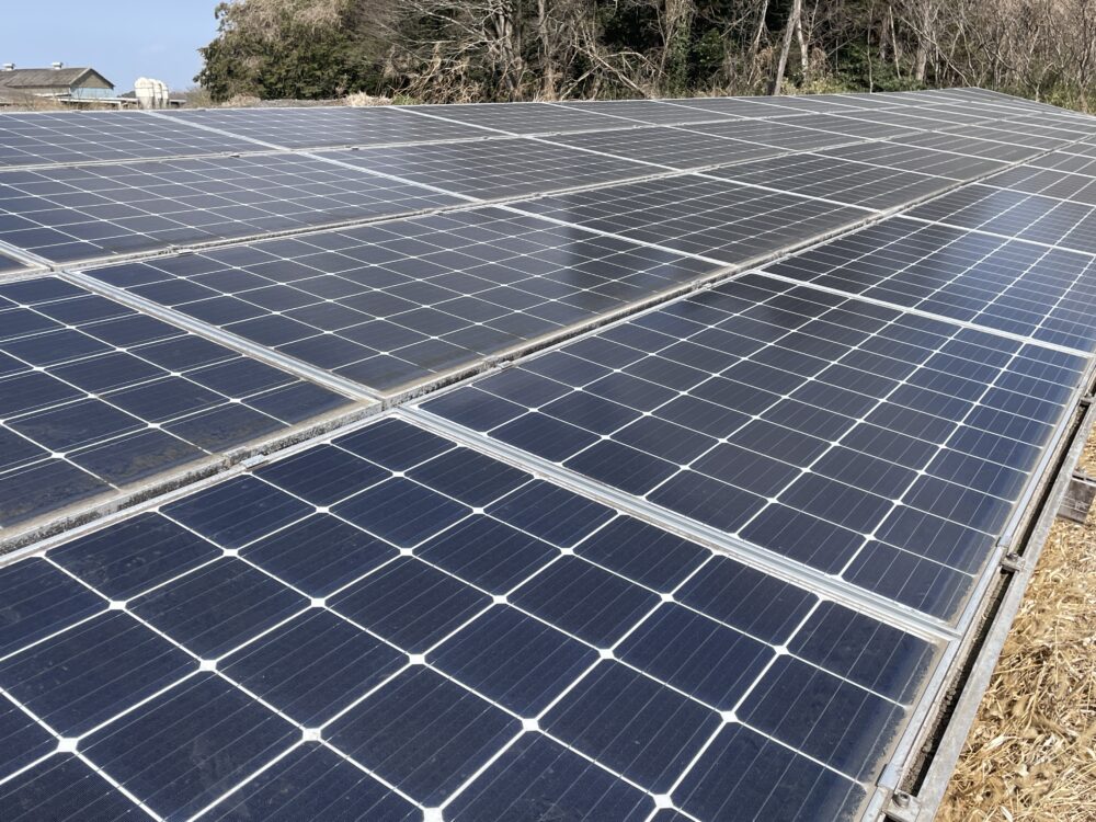 茨城県　49.5kW　低圧