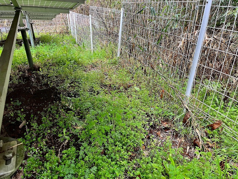 宮崎県　49.5kW　低圧