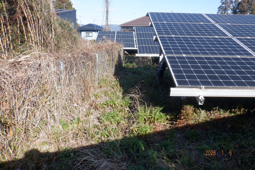 愛媛県　49.5kW　低圧
