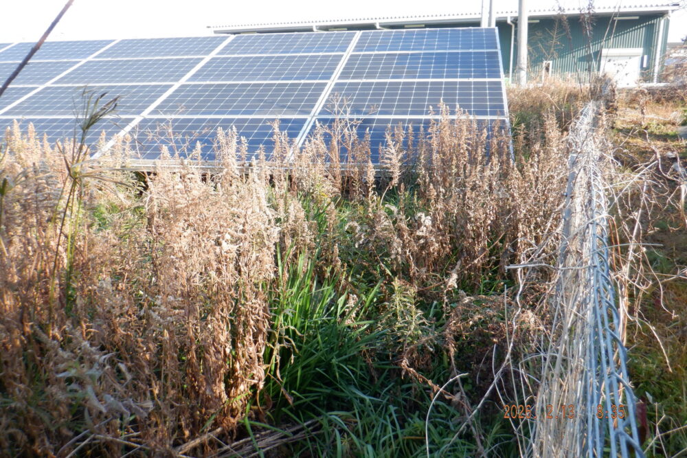 実績・評判口コミ画像01-兵庫県　49.5Kw　低圧