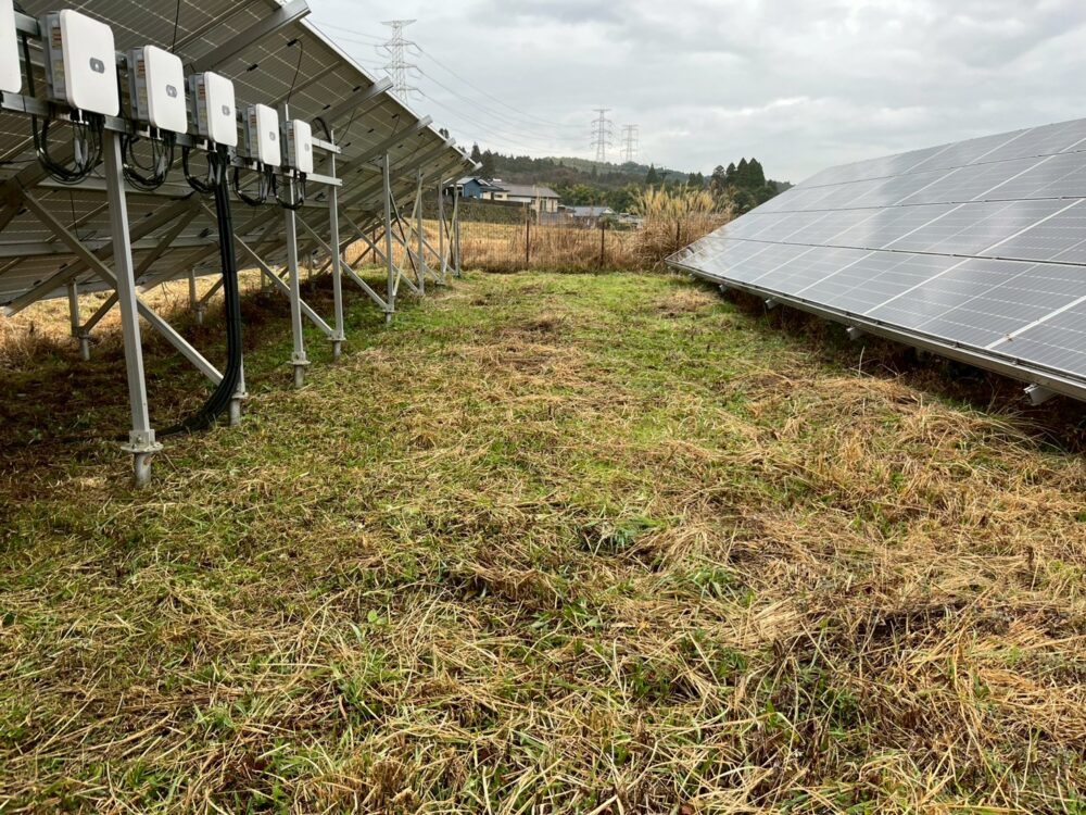 実績・評判口コミ画像01-鹿児島県　49.5kW　低圧