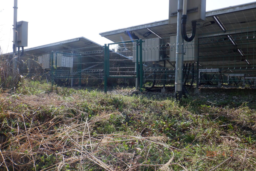 実績・評判口コミ画像01-徳島県　49.5kW　低圧