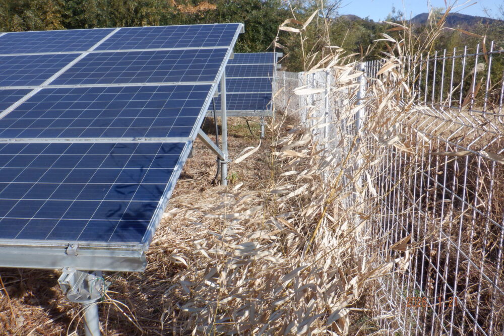 実績・評判口コミ画像01-徳島県　49.5kW　低圧