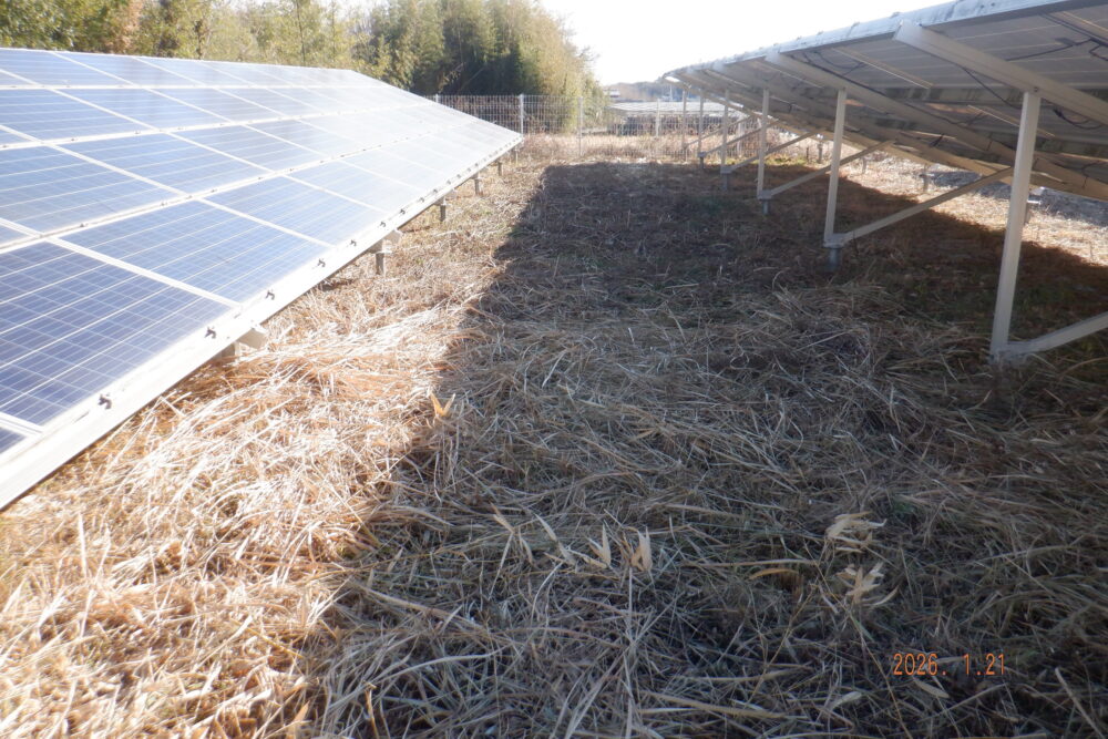 実績・評判口コミ画像02-徳島県　49.5kW　低圧