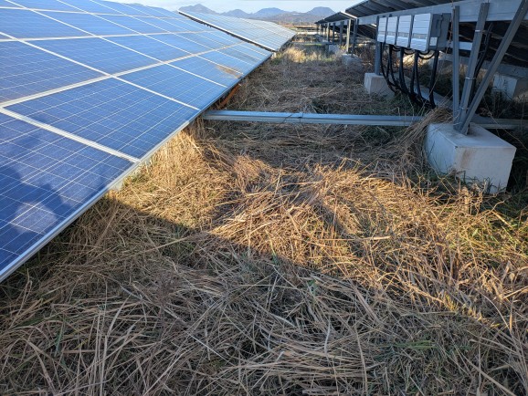 実績・評判口コミ画像03-大分県　49.5kW　低圧