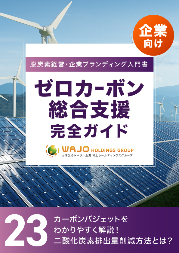 カーボンバジェットをわかりやすく解説！二酸化炭素排出量削減方法とは？